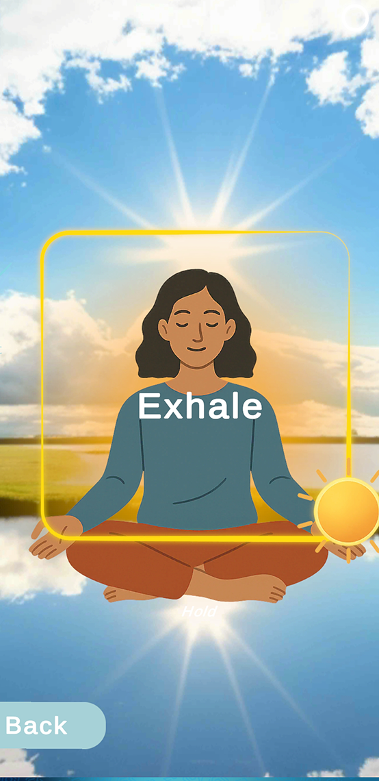 Guided breathing exercise screen